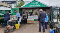 20220613 132739 fangfrischer Fisch in Oban &ndash; &copy; Marlies Thrum (Eberhardt TRAVEL)