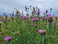 016 – Schottland &ndash; &copy; Vivien Fiedler (Eberhardt TRAVEL)
