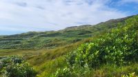 084 – Schottland, Highlands, Jacobite &ndash; &copy; Vivien Fiedler (Eberhardt TRAVEL)