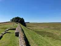 11. Tag – Housesteads Roman Fort – Vercovicium &ndash; &copy; Andreas Wolfsteller (Eberhardt TRAVEL)