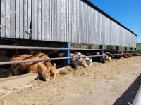 63 Mainsgill Farm &ndash; &copy; Jörg Nesse (Eberhardt TRAVEL)
