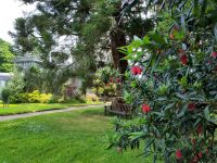 Armadale Castle Gardens &ndash; &copy; Andreas Böcker (Eberhardt TRAVEL)