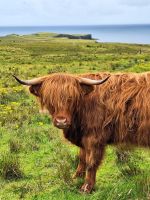 Skye Museum of Island Life &ndash; &copy; Sinah Witzig (Eberhardt TRAVEL)