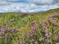 Isle of Skye
