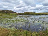 Lewis &ndash; &copy; Sinah Witzig (Eberhardt TRAVEL)