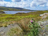 Harris &ndash; &copy; Sinah Witzig (Eberhardt TRAVEL)
