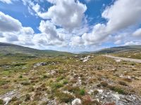 Harris &ndash; &copy; Sinah Witzig (Eberhardt TRAVEL)