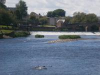 Dumfries