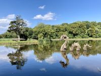 12. Reisetag – Von Dumfries nach Glasgow – Culzean Castle & Country Park – Drache im Schwanenteich &ndash; &copy; Andreas Wolfsteller (Eberhardt TRAVEL)