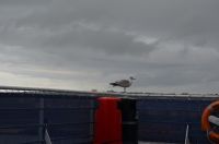 172 - Newcastle &ndash; &copy; Vivien Fiedler (Eberhardt TRAVEL)