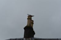 071 - Luss &ndash; &copy; Vivien Fiedler (Eberhardt TRAVEL)