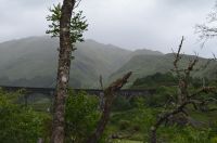 097 - Viadukt Glenfinnan &ndash; &copy; Vivien Fiedler (Eberhardt TRAVEL)