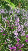 070 – Highlands, Glen Coe, Hagrids Hütte &ndash; &copy; Vivien Fiedler (Eberhardt TRAVEL)