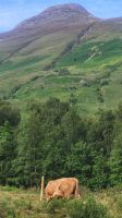072 – Highlands, Glen Coe, Coo &ndash; &copy; Vivien Fiedler (Eberhardt TRAVEL)