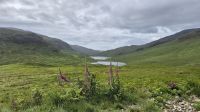 Mull: Three Lochs View &ndash; &copy; Sinah Witzig (Eberhardt TRAVEL)