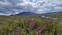 Sligachan &ndash; &copy; Sinah Witzig (Eberhardt TRAVEL)