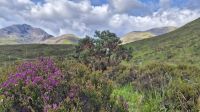 Isle of Skye &ndash; &copy; Sinah Witzig (Eberhardt TRAVEL)