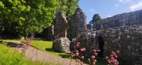 273 Borders, Dryburgh Abbey &ndash; &copy; Konrad Füssel (Eberhardt TRAVEL)