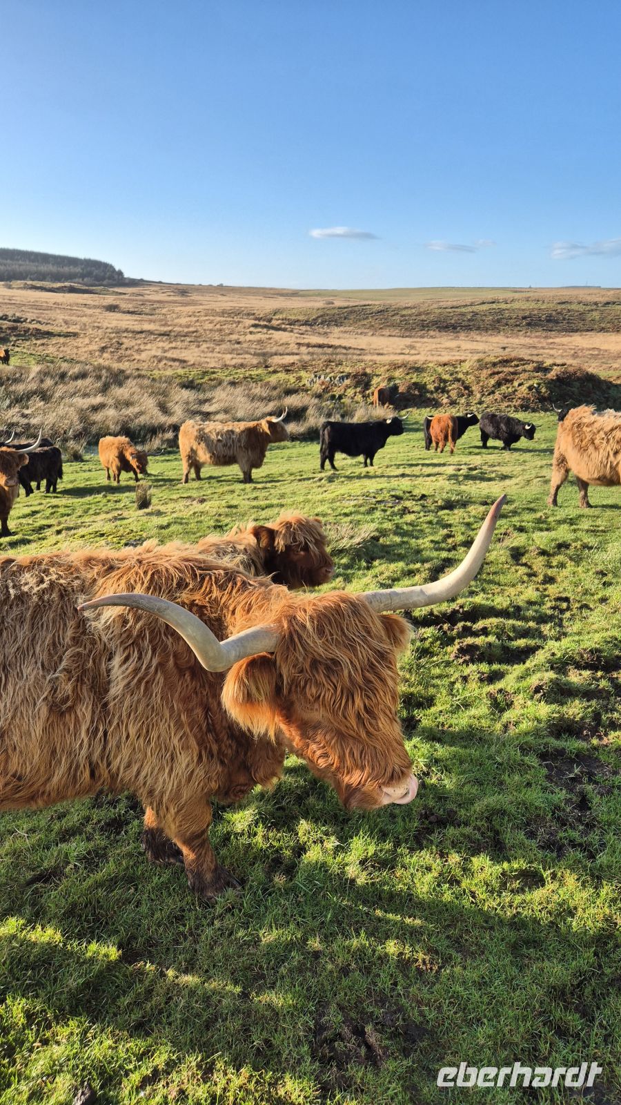 Airyolland Farm &ndash; &copy; Sinah Witzig (Eberhardt TRAVEL)