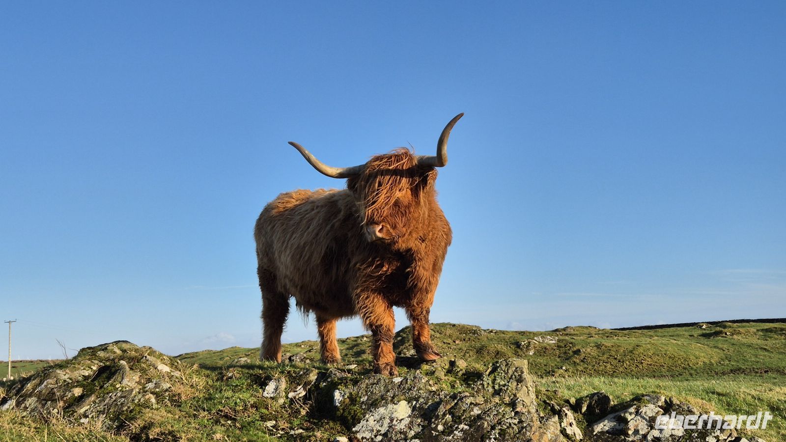 Airyolland Farm &ndash; &copy; Sinah Witzig (Eberhardt TRAVEL)