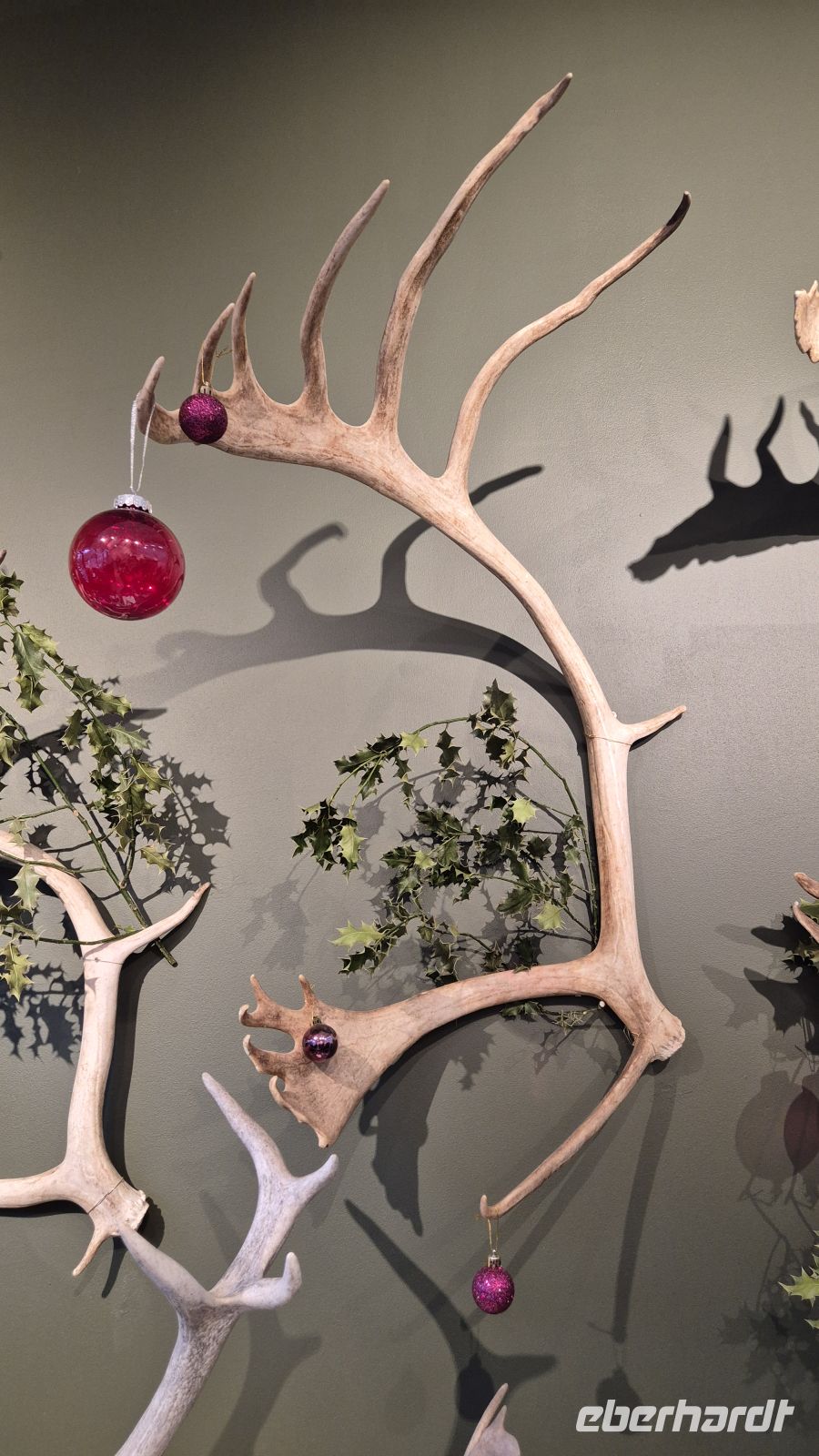 Cairngorms Reindeer Centre &ndash; &copy; Sinah Witzig (Eberhardt TRAVEL)