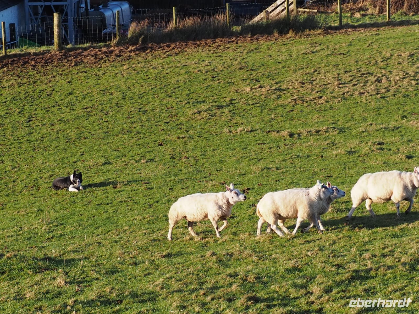 Airyolland Farm &ndash; &copy; Sinah Witzig (Eberhardt TRAVEL)