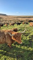 Airyolland Farm &ndash; &copy; Sinah Witzig (Eberhardt TRAVEL)