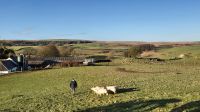 Airyolland Farm &ndash; &copy; Sinah Witzig (Eberhardt TRAVEL)