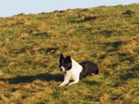 Airyolland Farm &ndash; &copy; Sinah Witzig (Eberhardt TRAVEL)