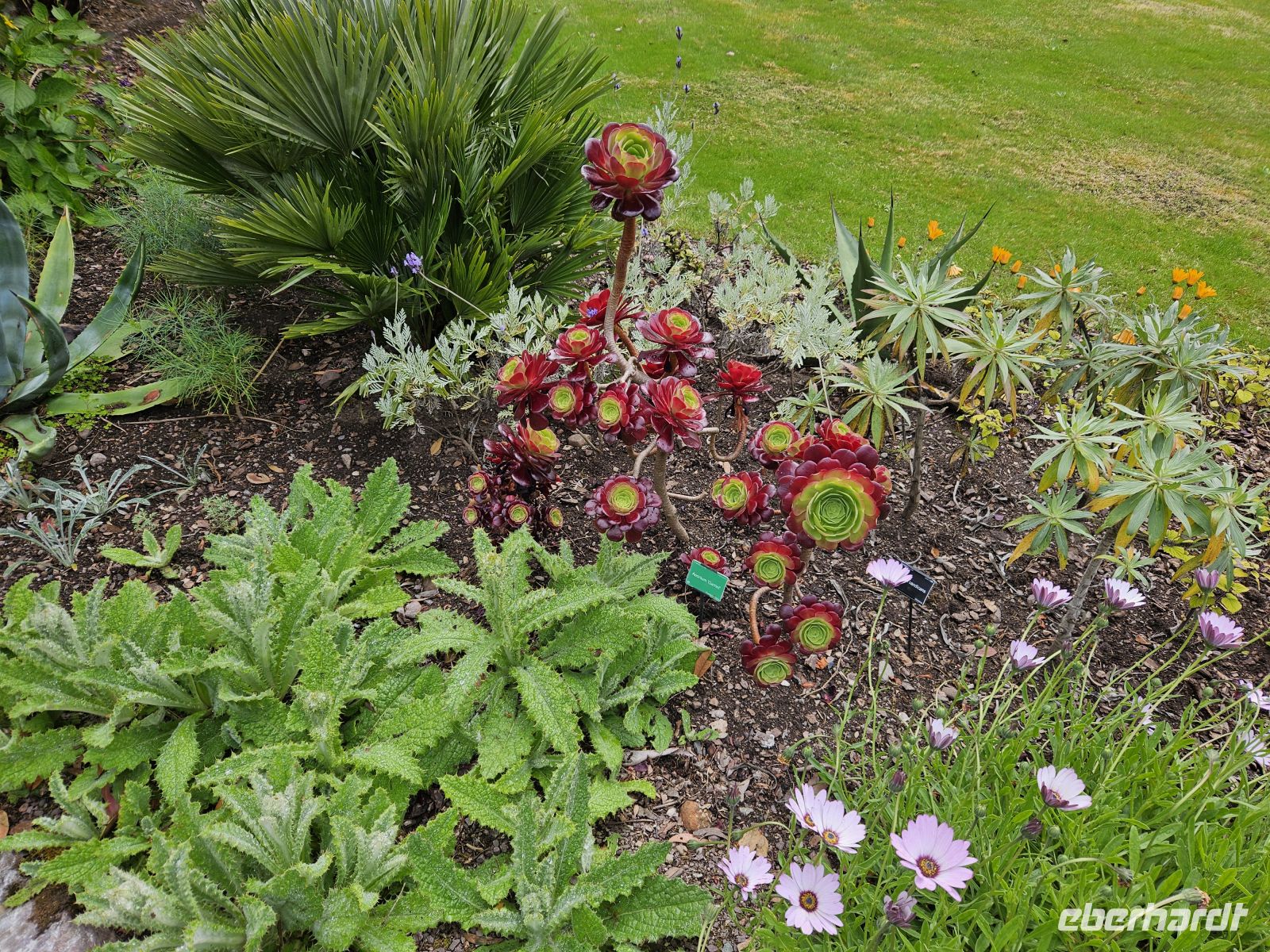 Inverewe Garden &ndash; &copy; Kathrin Becker (Eberhardt TRAVEL)