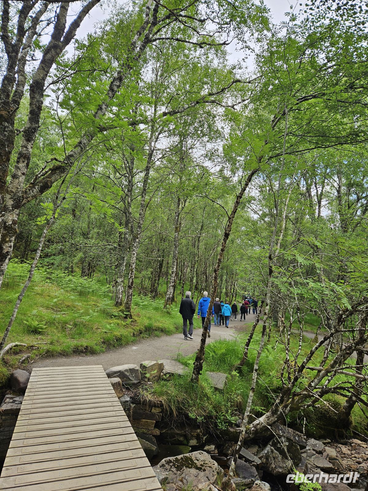 Weg zum Wasserfall- Corrieshalloch Gorge  &ndash; &copy; Kathrin Becker (Eberhardt TRAVEL)