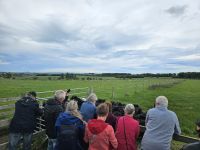 Aberdeenshire Schaffarm &ndash; &copy; Kathrin Becker (Eberhardt TRAVEL)