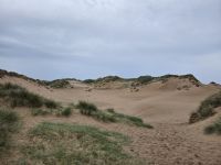 Balmedie Country Park