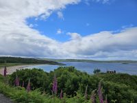 Sandstrand Gairloch 