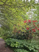 Inverewe Garden &ndash; &copy; Kathrin Becker (Eberhardt TRAVEL)