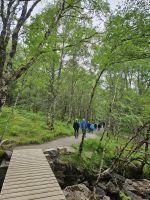 Weg zum Wasserfall- Corrieshalloch Gorge  &ndash; &copy; Kathrin Becker (Eberhardt TRAVEL)