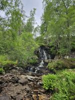 Corrieshalloch Gorge  &ndash; &copy; Kathrin Becker (Eberhardt TRAVEL)