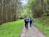 2. Tag: Loch Lomond & West Highland Way – Wanderung auf dem West Highland Way von Rowardennan nach Inversnaid &ndash; &copy; Andreas Wolfsteller (Eberhardt TRAVEL)