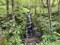 2. Tag: Loch Lomond & West Highland Way – Wanderung auf dem West Highland Way von Rowardennan nach Inversnaid &ndash; &copy; Andreas Wolfsteller (Eberhardt TRAVEL)