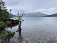 2. Tag: Loch Lomond & West Highland Way – Wanderung auf dem West Highland Way von Rowardennan nach Inversnaid &ndash; &copy; Andreas Wolfsteller (Eberhardt TRAVEL)