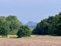 3. Tag: Über Stirling in die Highlands – Schlachtfeld von Bannockburn – Blick zum Stirling Castle &ndash; &copy; Andreas Wolfsteller (Eberhardt TRAVEL)