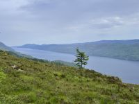 5. Tag: Fort William bis Inverness – Wanderung auf dem Great Glen Way von Fort Augustus nach Invermoriston &ndash; &copy; Andreas Wolfsteller (Eberhardt TRAVEL)