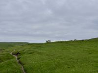 6. Tag: Inverness bis Kirkwall – Wanderung zu den Stacks of Duncansby &ndash; &copy; Andreas Wolfsteller (Eberhardt TRAVEL)