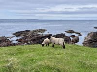 6. Tag: Inverness bis Kirkwall – Wanderung zu den Stacks of Duncansby &ndash; &copy; Andreas Wolfsteller (Eberhardt TRAVEL)