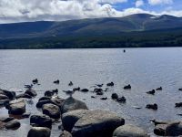 9. Tag: Inverness bis Edinburgh – Wanderung um den Loch Morlich in den Cairngorms &ndash; &copy; Andreas Wolfsteller (Eberhardt TRAVEL)