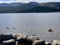9. Tag: Inverness bis Edinburgh – Wanderung um den Loch Morlich in den Cairngorms &ndash; &copy; Andreas Wolfsteller (Eberhardt TRAVEL)