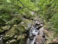 9. Tag: Inverness bis Edinburgh – Wanderung zu den Birks of Aberfeldy &ndash; &copy; Andreas Wolfsteller (Eberhardt TRAVEL)