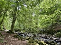 9. Tag: Inverness bis Edinburgh – Wanderung zu den Birks of Aberfeldy &ndash; &copy; Andreas Wolfsteller (Eberhardt TRAVEL)