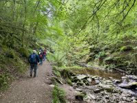 9. Tag: Inverness bis Edinburgh – Wanderung zu den Birks of Aberfeldy &ndash; &copy; Andreas Wolfsteller (Eberhardt TRAVEL)