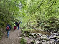 9. Tag: Inverness bis Edinburgh – Wanderung zu den Birks of Aberfeldy &ndash; &copy; Andreas Wolfsteller (Eberhardt TRAVEL)